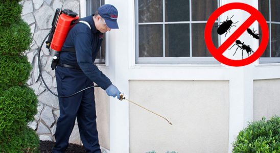 Nurdağı Uçan Haşere İlaçlama böcek ilaçlama ve haşere kontrolü — ilaclama-tr.com
